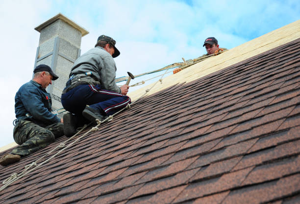 Gutter Installation and Roofing in Springfield, MN